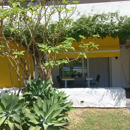 Milla De Oro/ Golden Mille * מארבלה